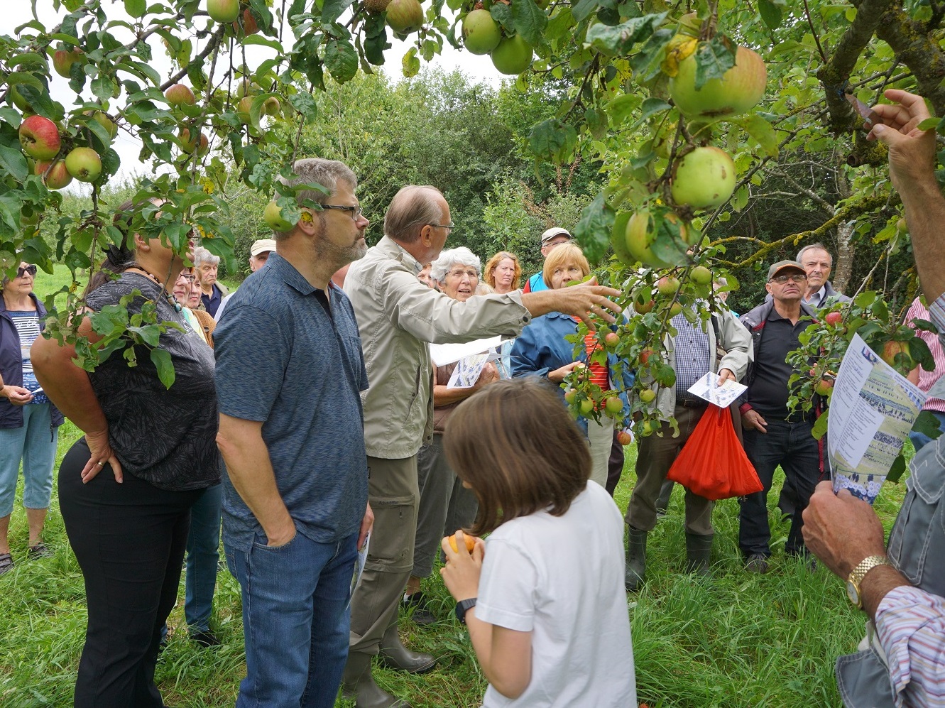 Unser Gartenberater Anton Meier ist mit viel Begeisterung dabei, wenn es um den Apfel und insb. alte Apfelsorten geht. Mit vielen interessanten Geschichten für jung und alt zeigte er den Nutzen einer Streuobstwiese für uns auf.